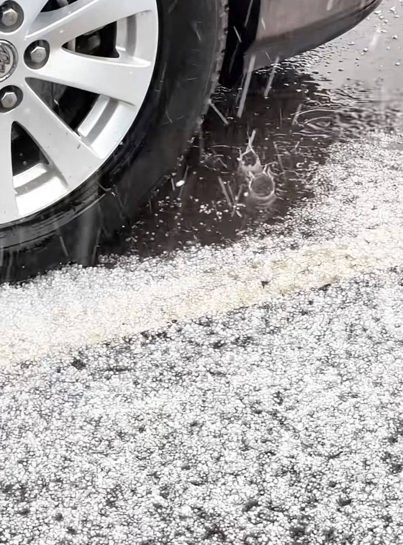 独库公路又双叒叕下雪了！这回下得还真大~