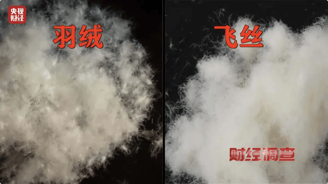 官方通报：查封扣押、立案查处！