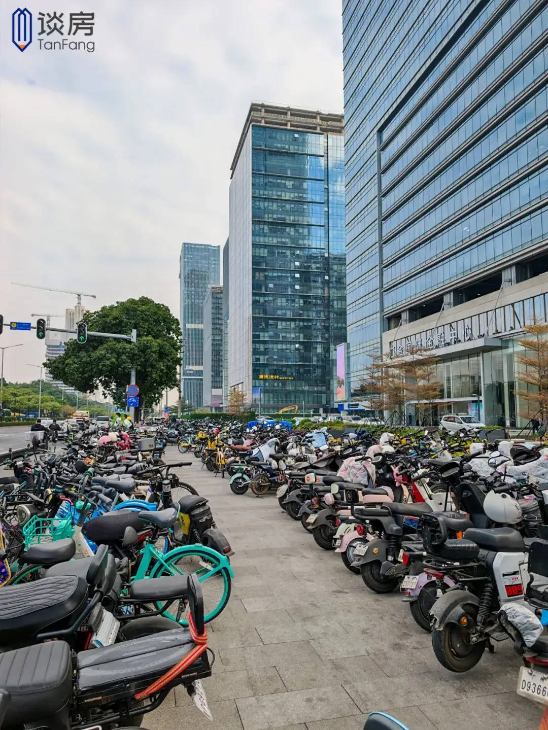 “电鸡围城”，为什么只有广州苦不堪言？