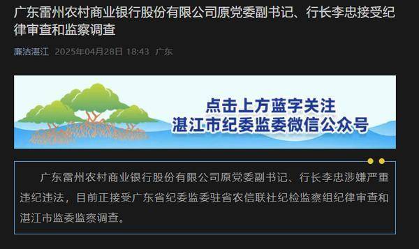 广东雷州农商银行董事长、原行长被查