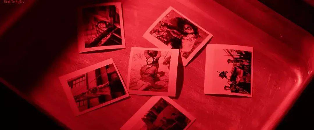 豆瓣评分8.6、预估票房30亿+,题材严肃的《南京照相馆》凭啥引发全民共振?