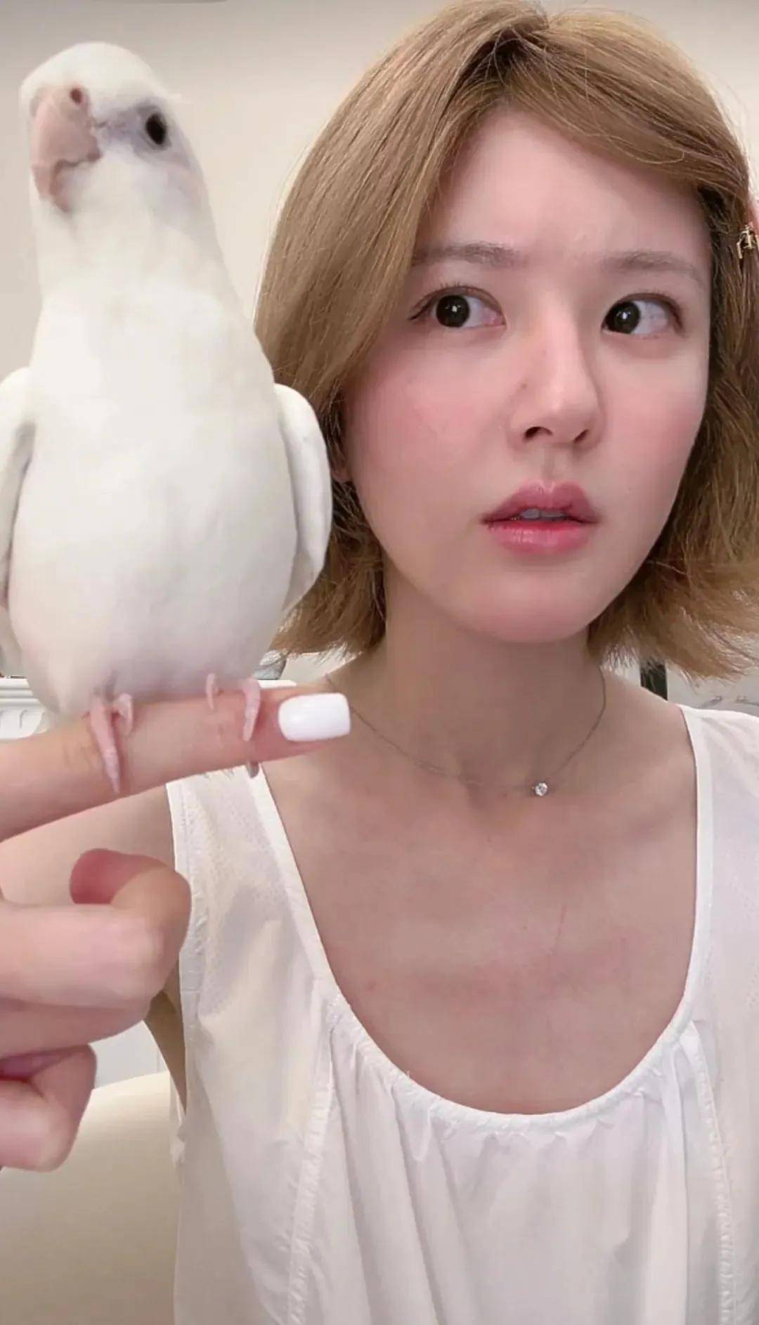 怒撕经纪公司后赵露思开启直播,同款花卷、包包都卖爆