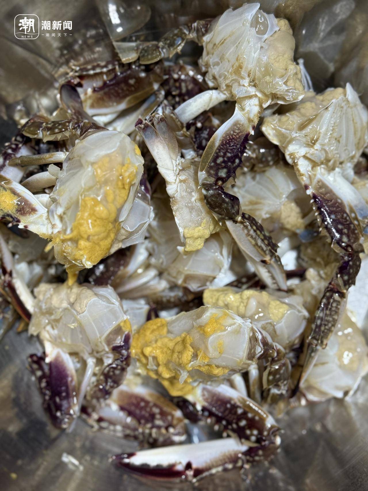 起猛了!东海梭子蟹2元/斤,杭州市场到货量惊人