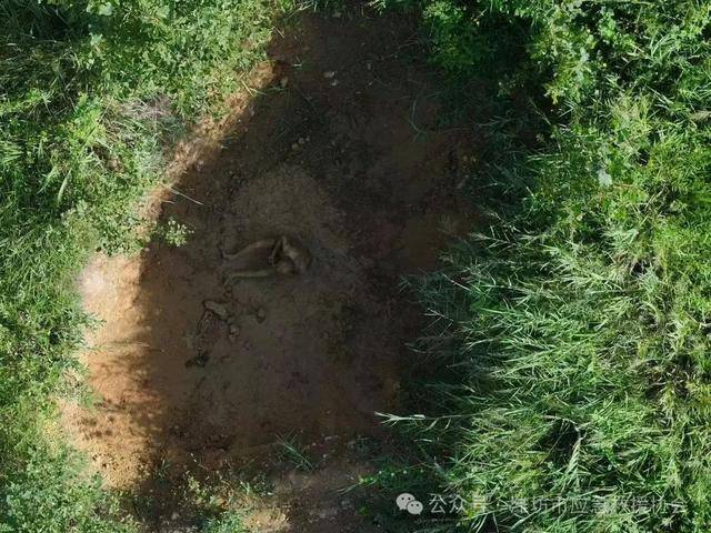 高密一老太走失三天四夜 泥坑中被发现