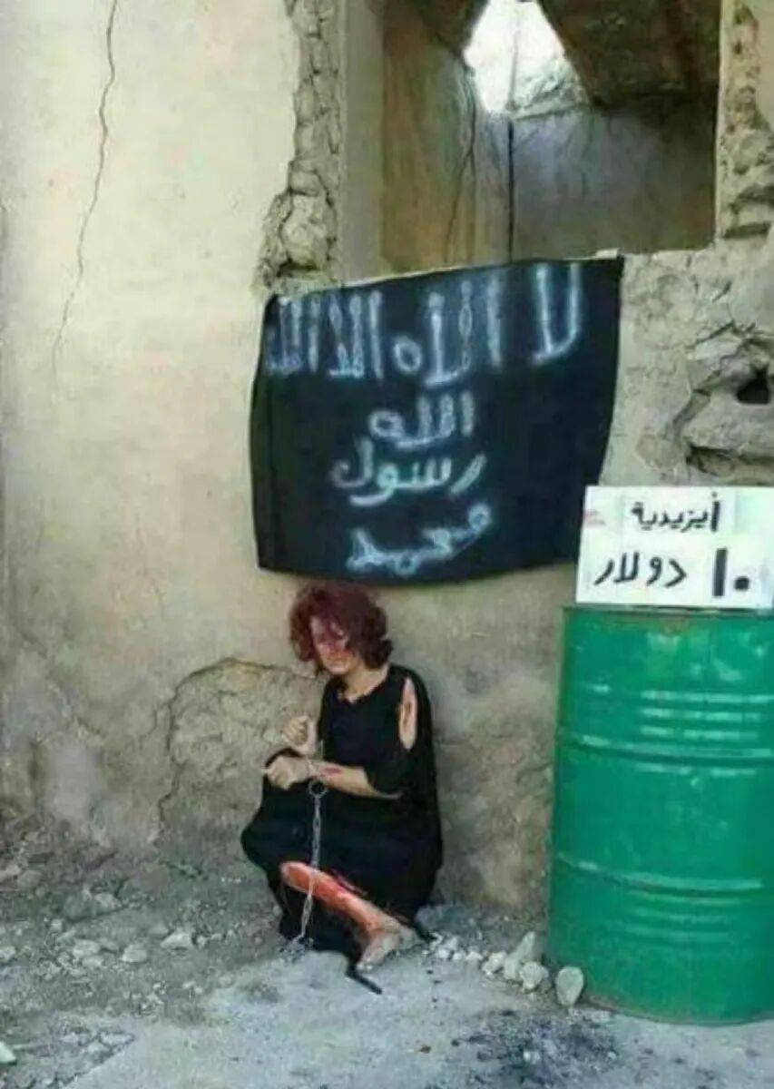 美国迎来一位最特殊客人,世界哭笑不得