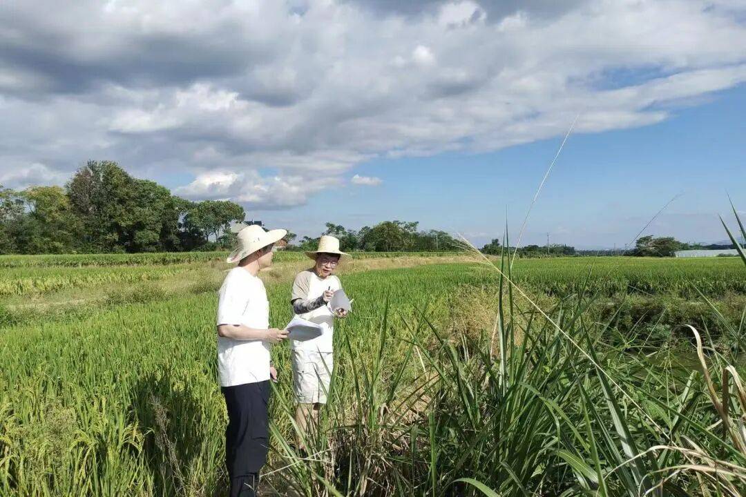 【动态】筑牢生态保护屏障、助力产业高效发展……关注本期市县动态