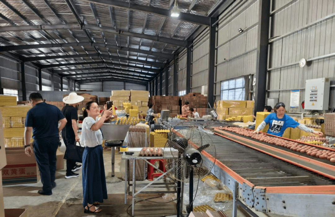 【动态】筑牢生态保护屏障、助力产业高效发展……关注本期市县动态