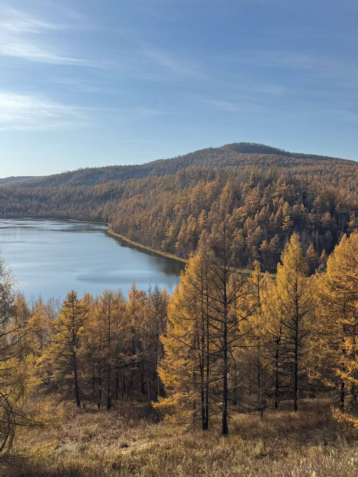 文化中国行丨赏秋、展览、演出场景焕新 双节文旅消费热力涌动