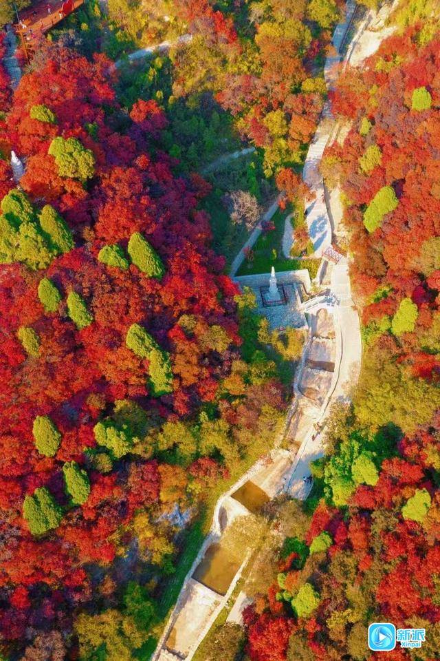 霜降时节,来潍坊临朐石门坊赴一场红叶之约!