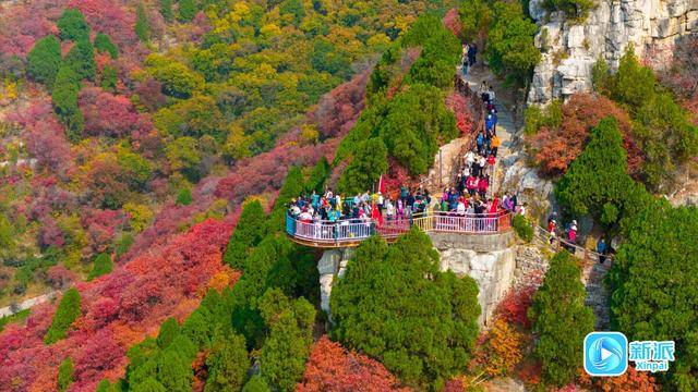 霜降时节,来潍坊临朐石门坊赴一场红叶之约!