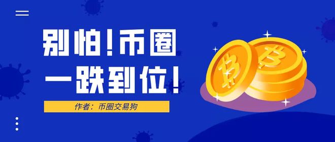 币圈几年一轮(币圈2021年底)