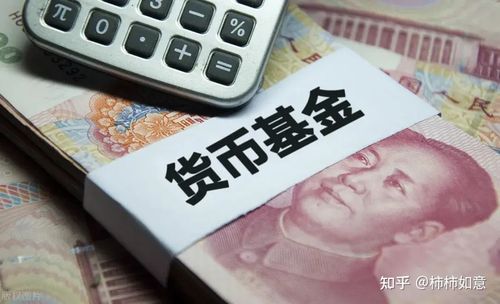 买货币(买货币基金看七日年化还是万份收益)