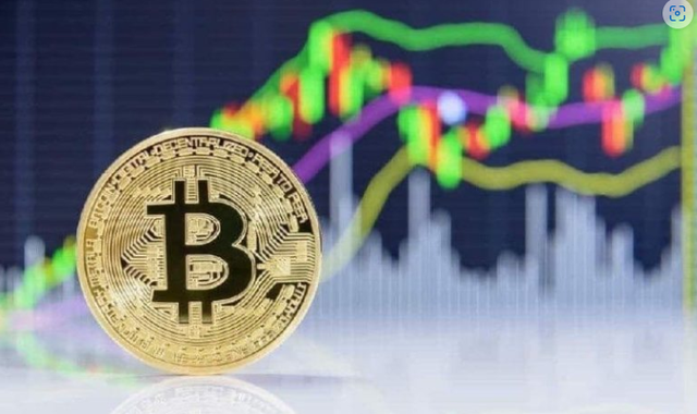 货币交易网站(货币交易网站客服聊天用什么插件开发)