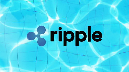 xrp是什么(XRP是什么意思)
