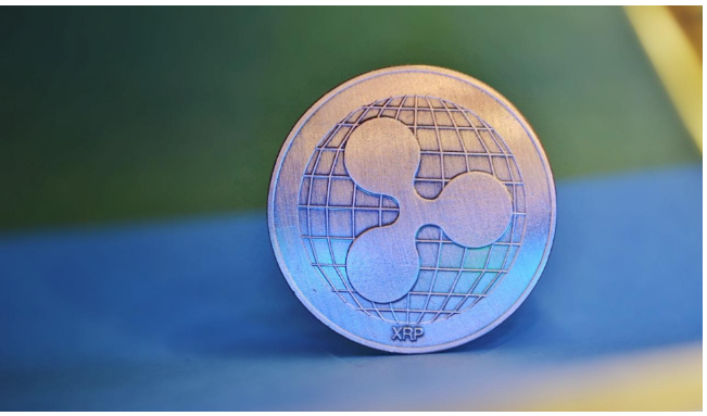 花火XRP(花火视频免费版下载)