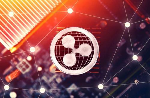 XRp1(xrp1蛋白)