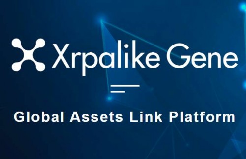 xrp3(xrp3000黑白光照度计)