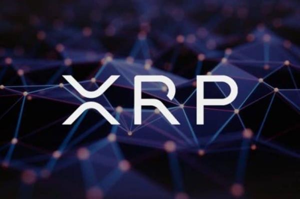 xrp币3(Xrp币最新消息)