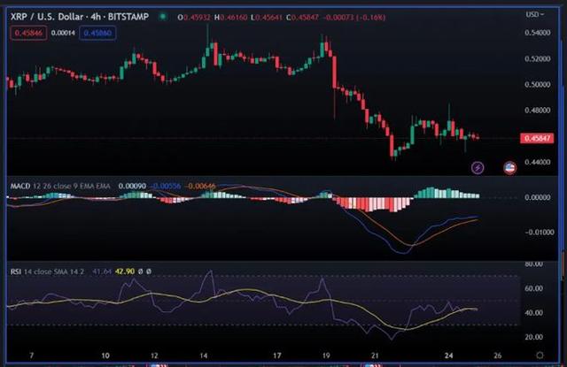 XRP投资方(xrp最新消息)